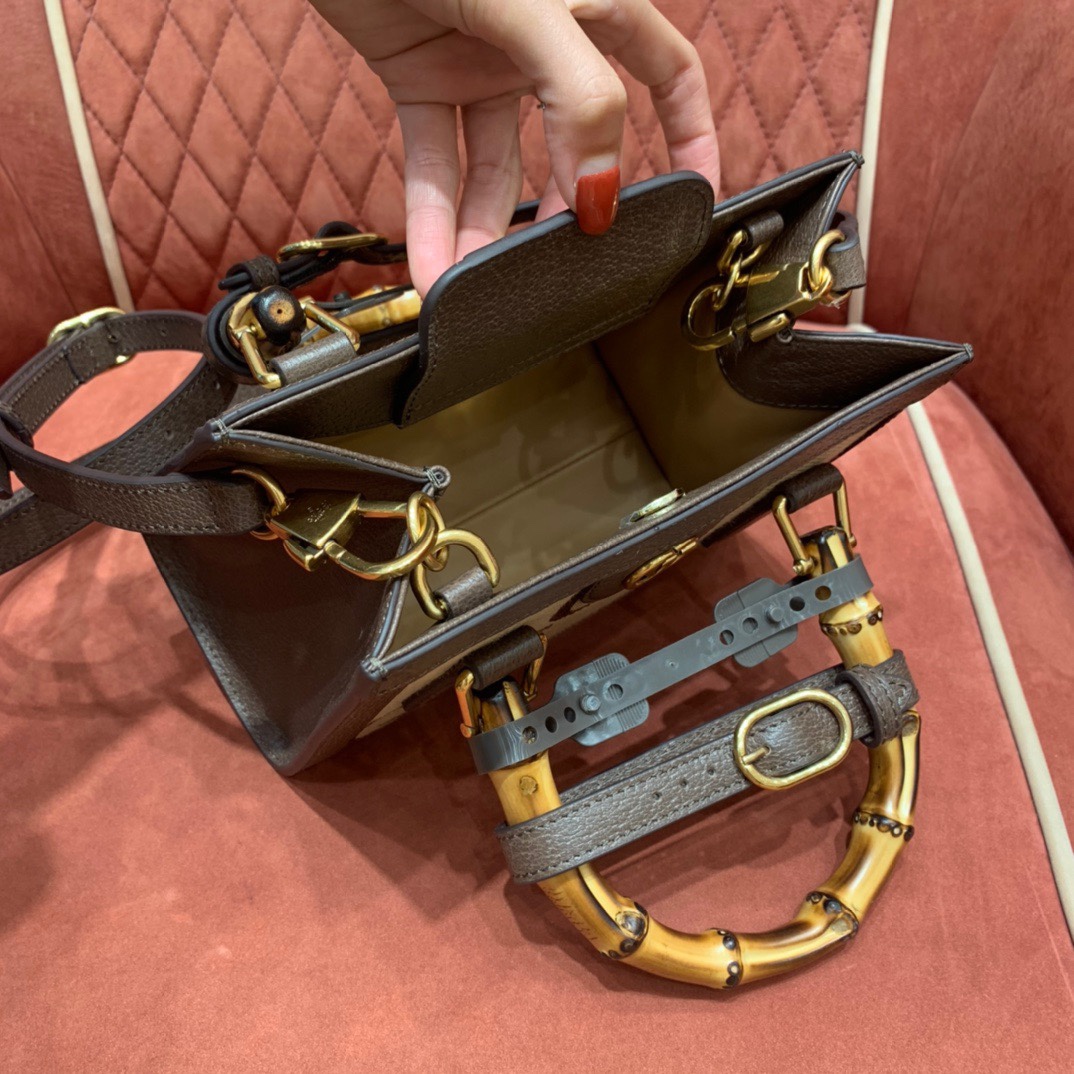 Gv*c1 Diana Tote bag