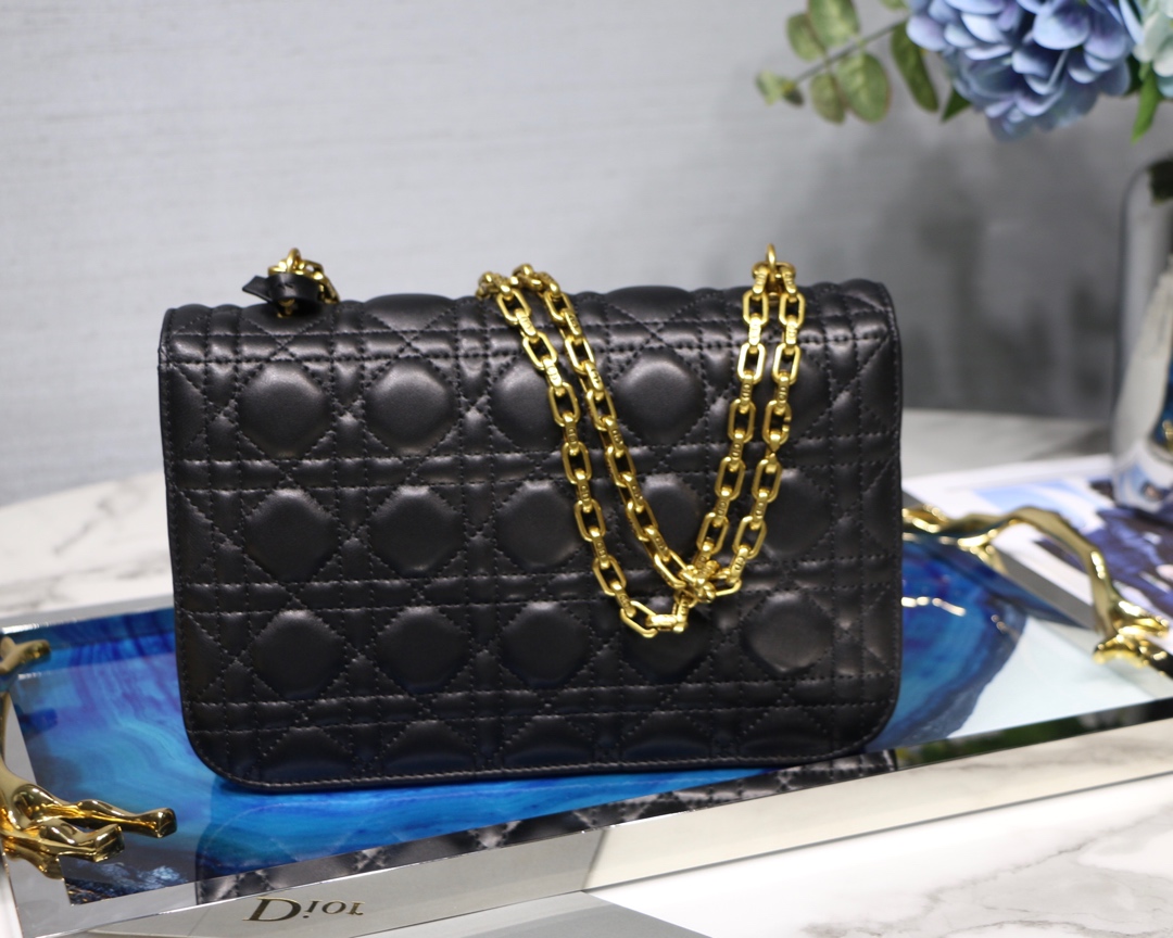 D10r Addict Chain bag