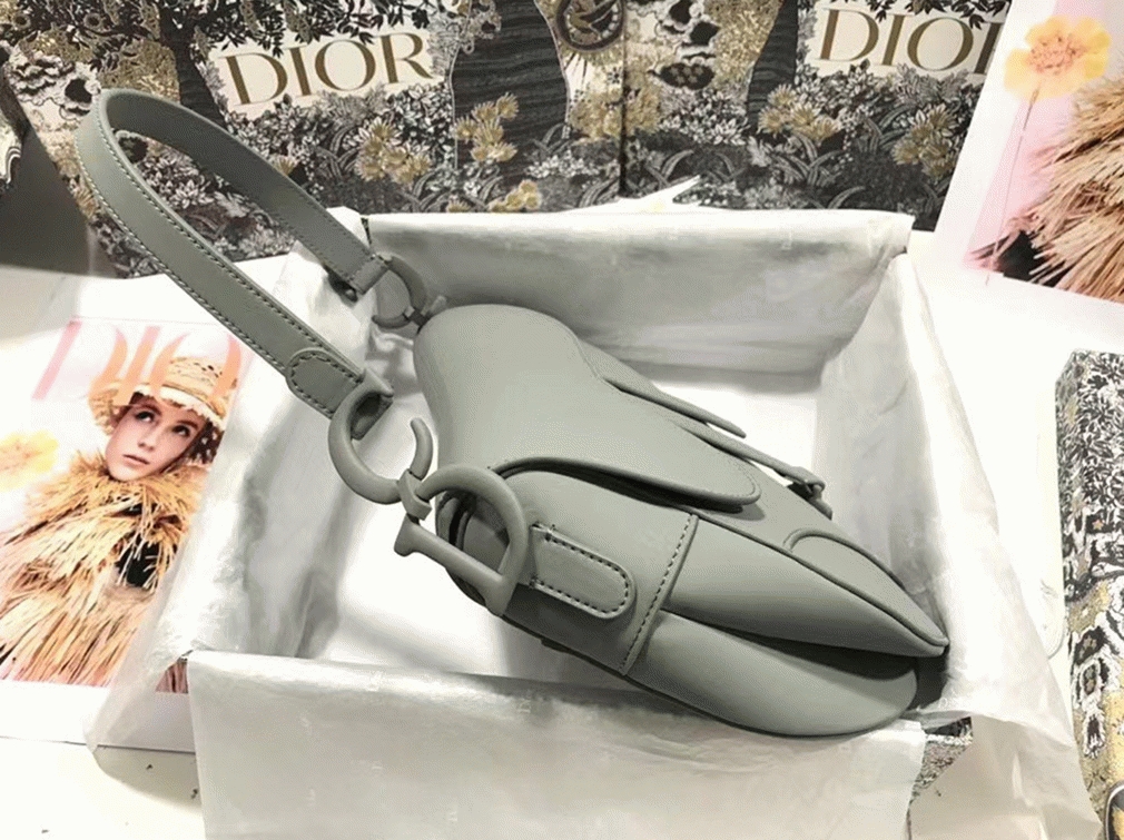 D10r Saddle Bag Faux in Grey Ultramatte Calfskin