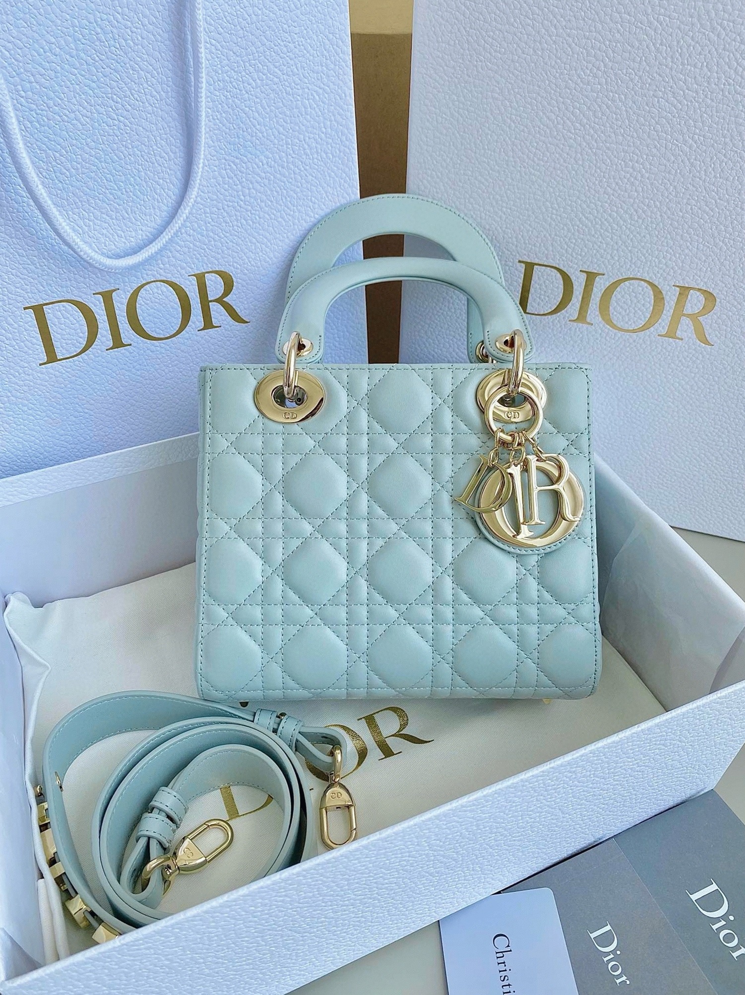 D10r Small Lady D10r My ABCD10r Bag Replica in Placid Blue