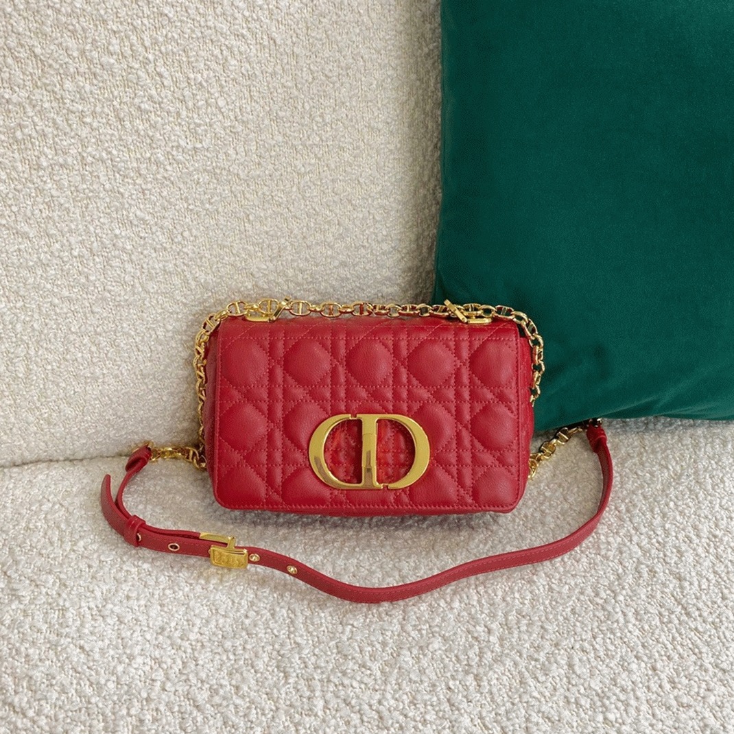 D10r Caro Small Bag Faux in Red