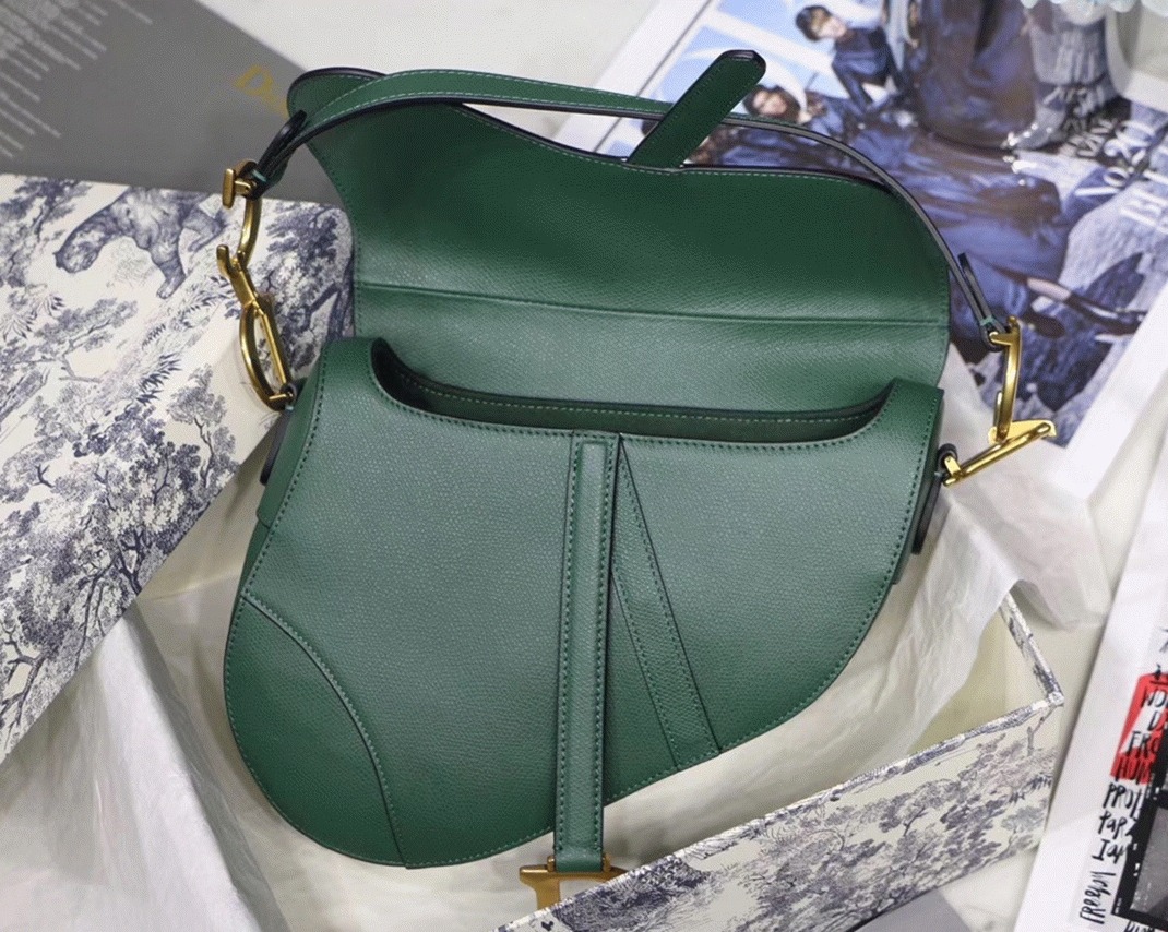 D10r Saddle Bag Faux in Green Grained Calfskin