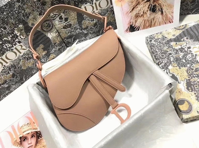 D10r Saddle Bag Replica in Blush Ultramatte Calfskin