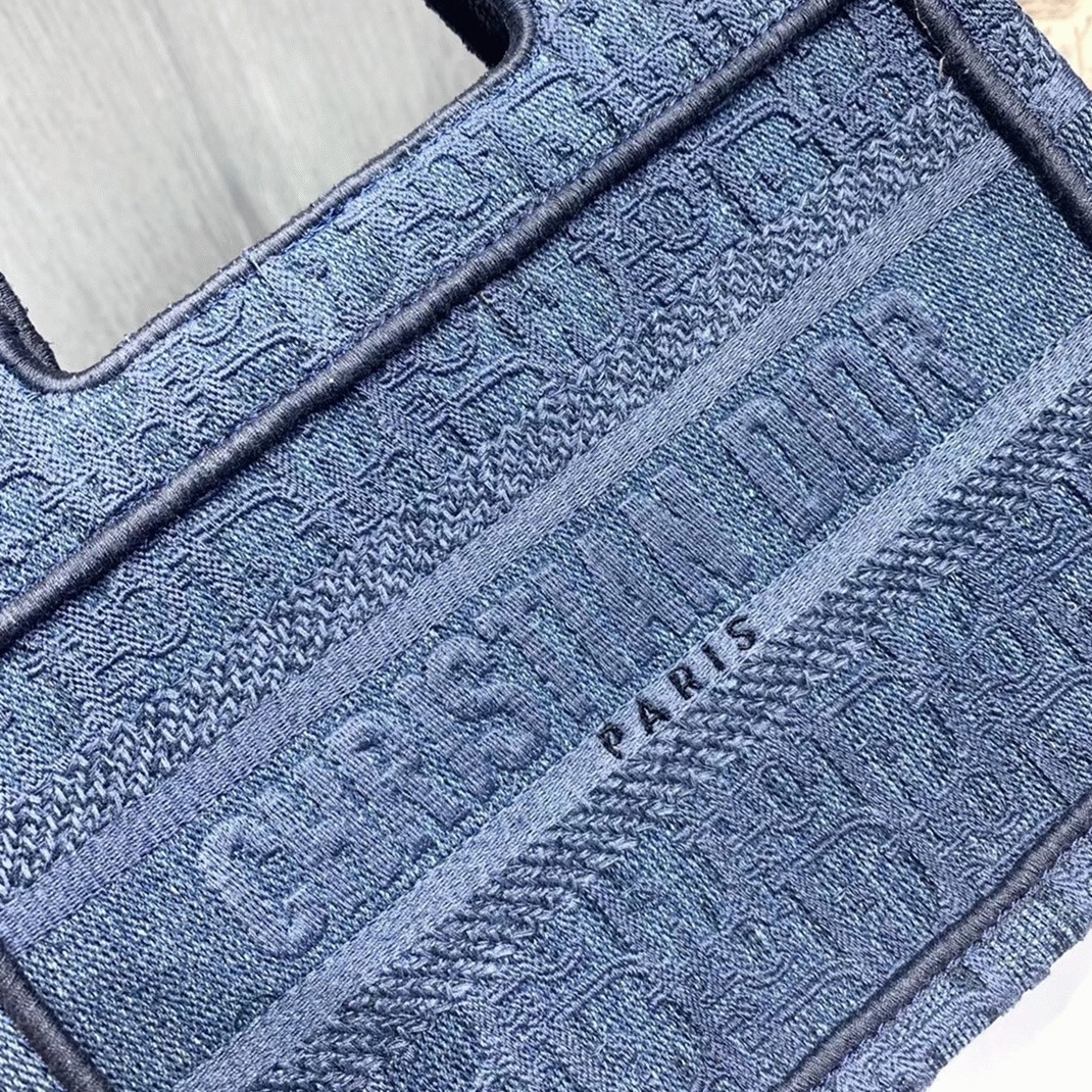 D10r Mini Book Tote Bag Fake in Denim Blue Oblique