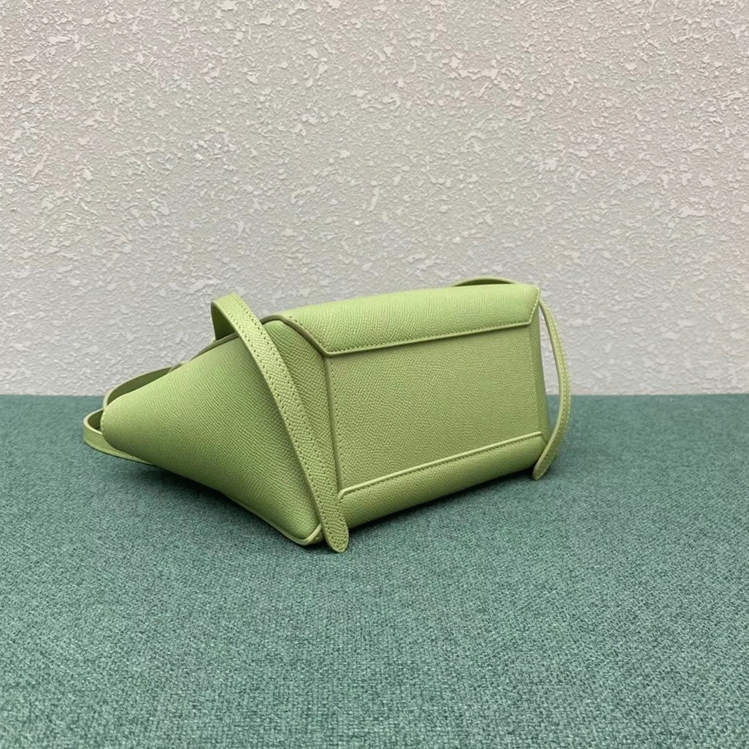 Ce1i*e Belt Nano Bag Fake in Sage