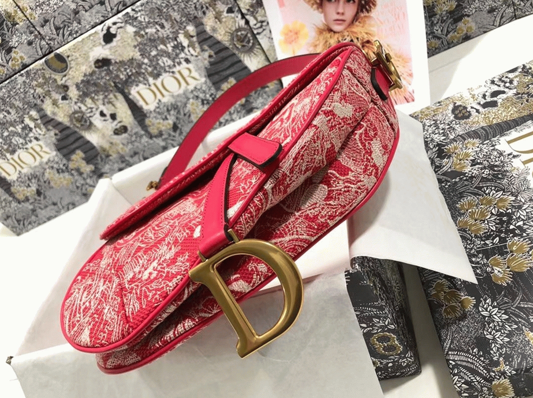 D10r Saddle Bag Imitation in Red Toile de Jouy Reverse Jacquard