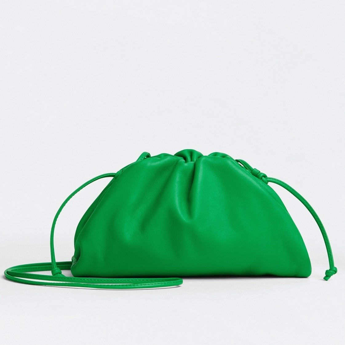 Fake B0tt*ga Ven*ta Mini Pouch with Strap Parakeet