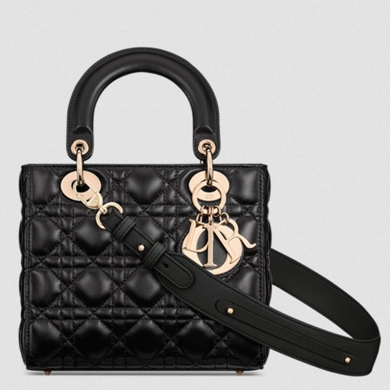 D10r Small Lady D10r Bag Replica in Black