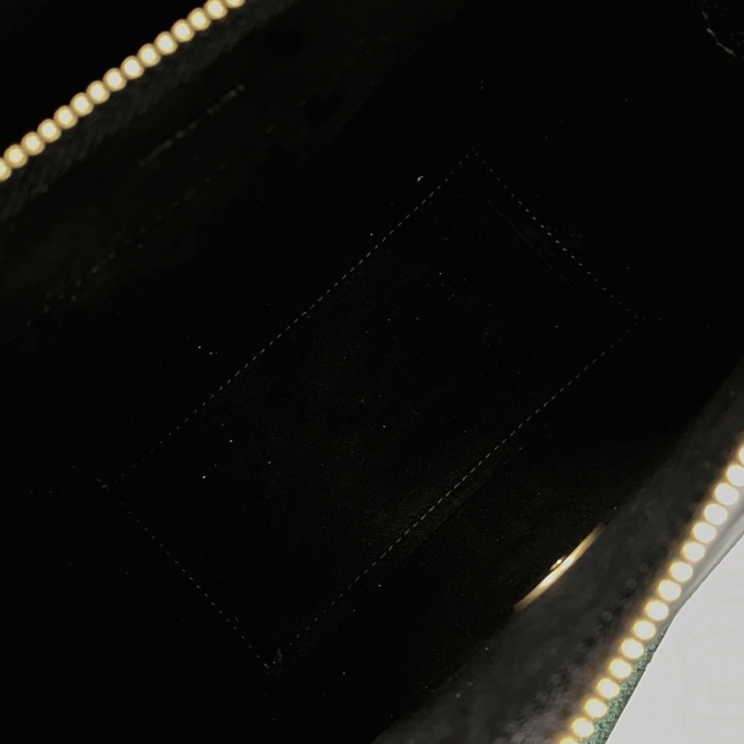 Ce1i*e Belt Nano Bag Replica in Black