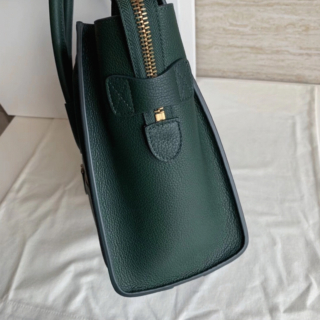 Ce1i*e Micro Luggage Tote Bag Fake in Amazone