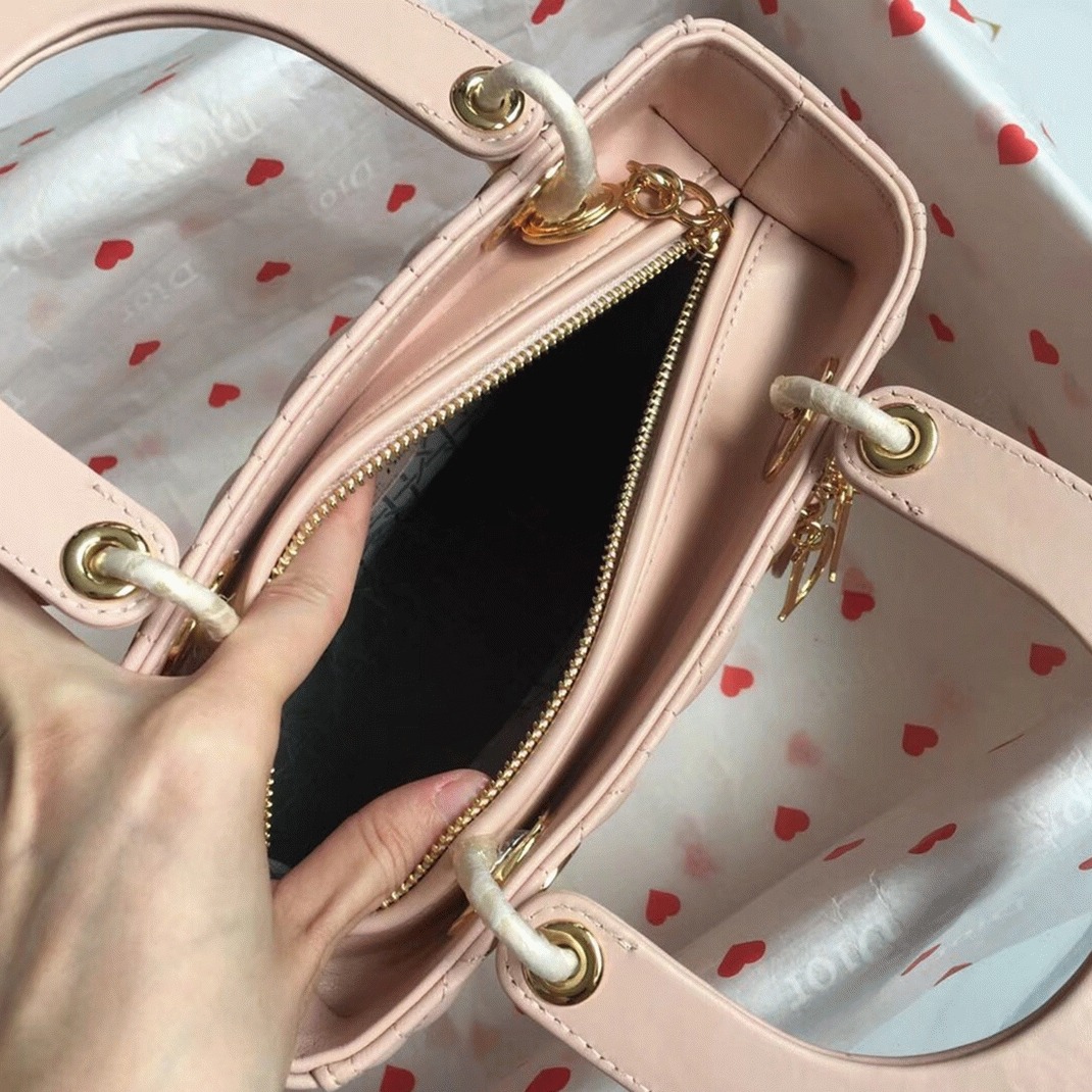 D10r Lady D10r Medium Bag Replica in Powder