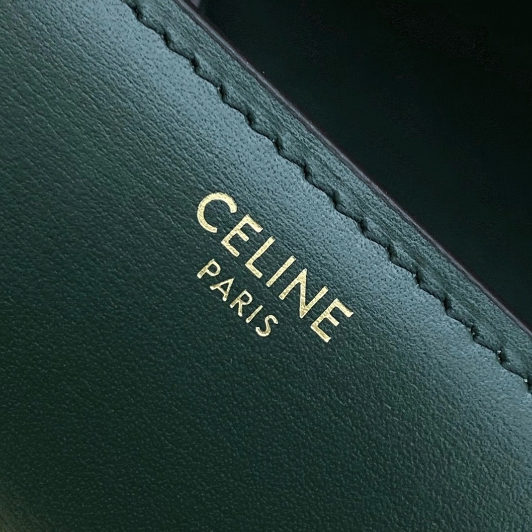 Top Quality Fake Ce1i*e Classic Box Teen Bag In Amazone