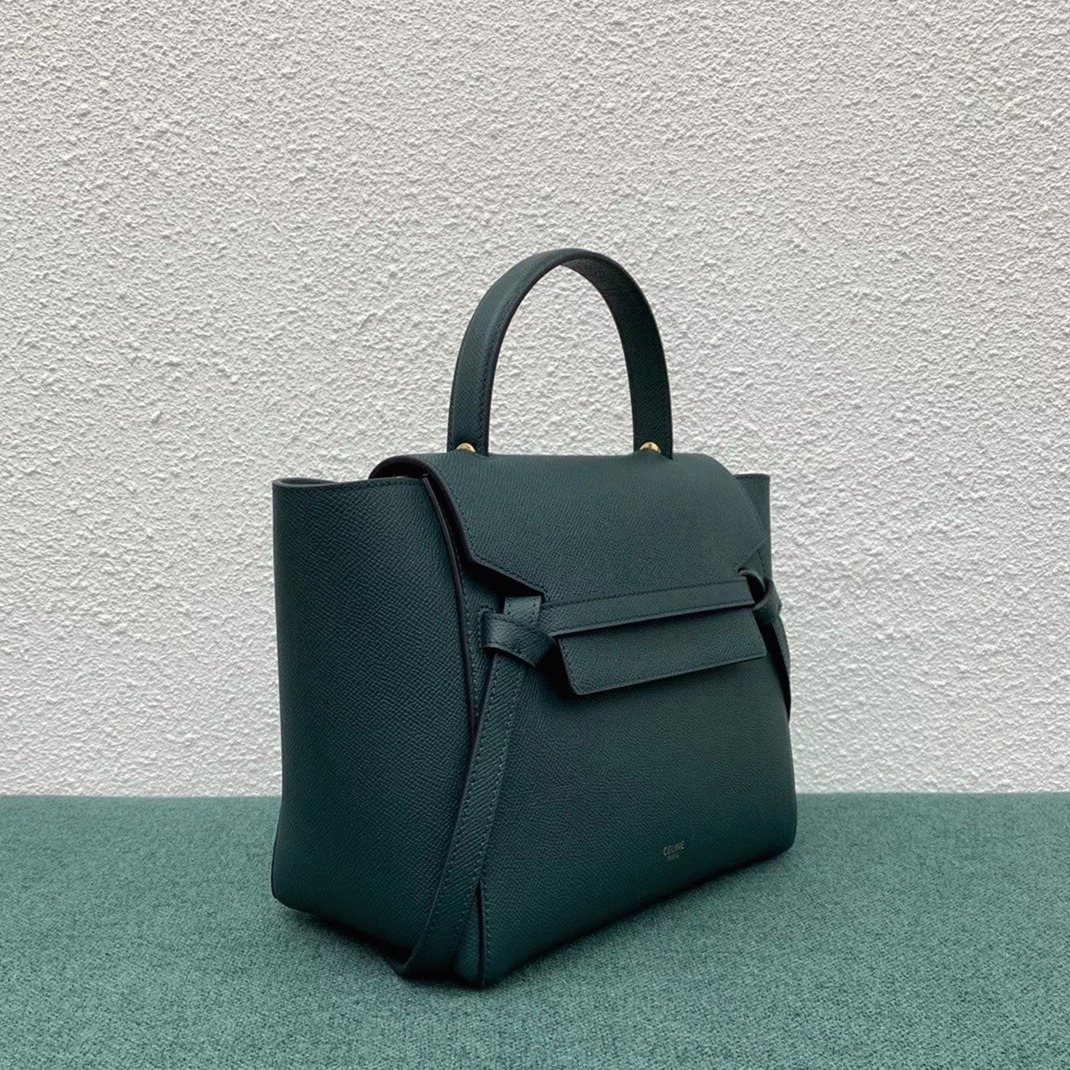 Ce1i*e Micro Belt Bag Fake in Amazone