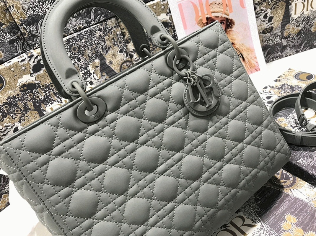 D10r Lady D10r Large Bag Fake in Grey