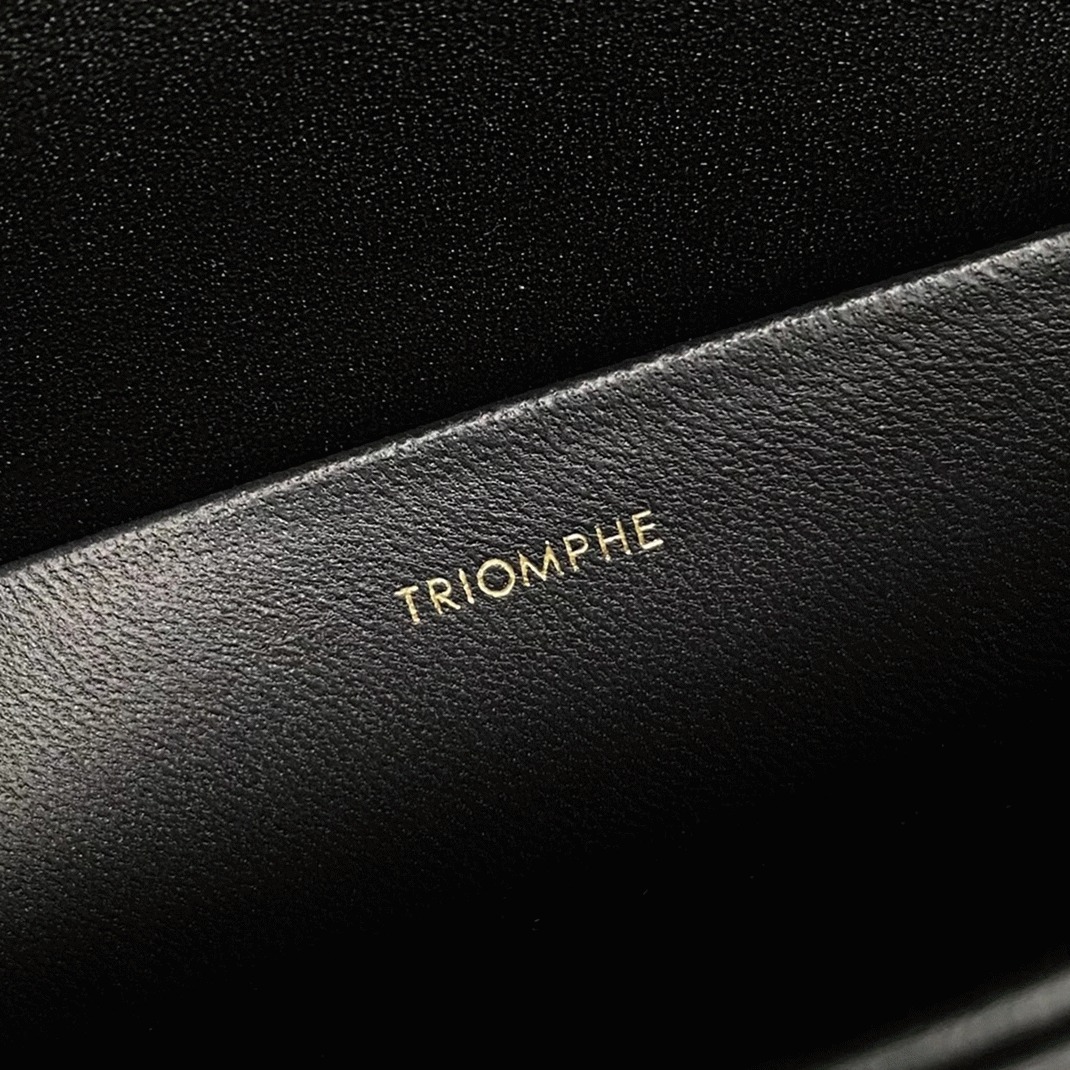 Top Quality Knockoff Ce1i*e Triomphe Large Bag In Black