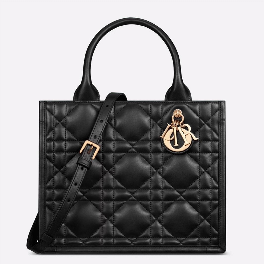 D10r Small Book Tote Bag Fake with Strap in Black