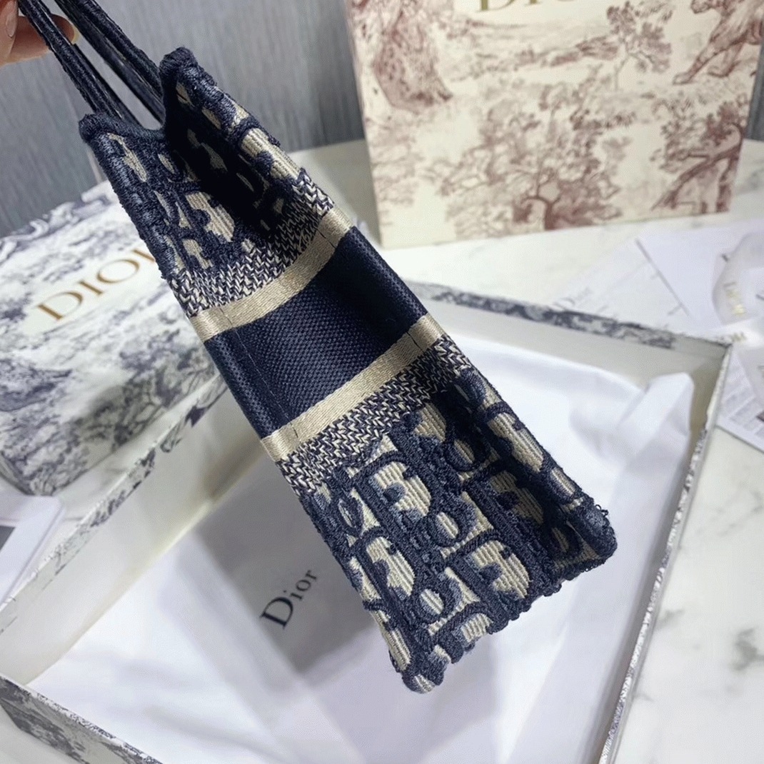 D10r Mini Book Tote Bag Fake in Blue D10r Oblique Embroidery