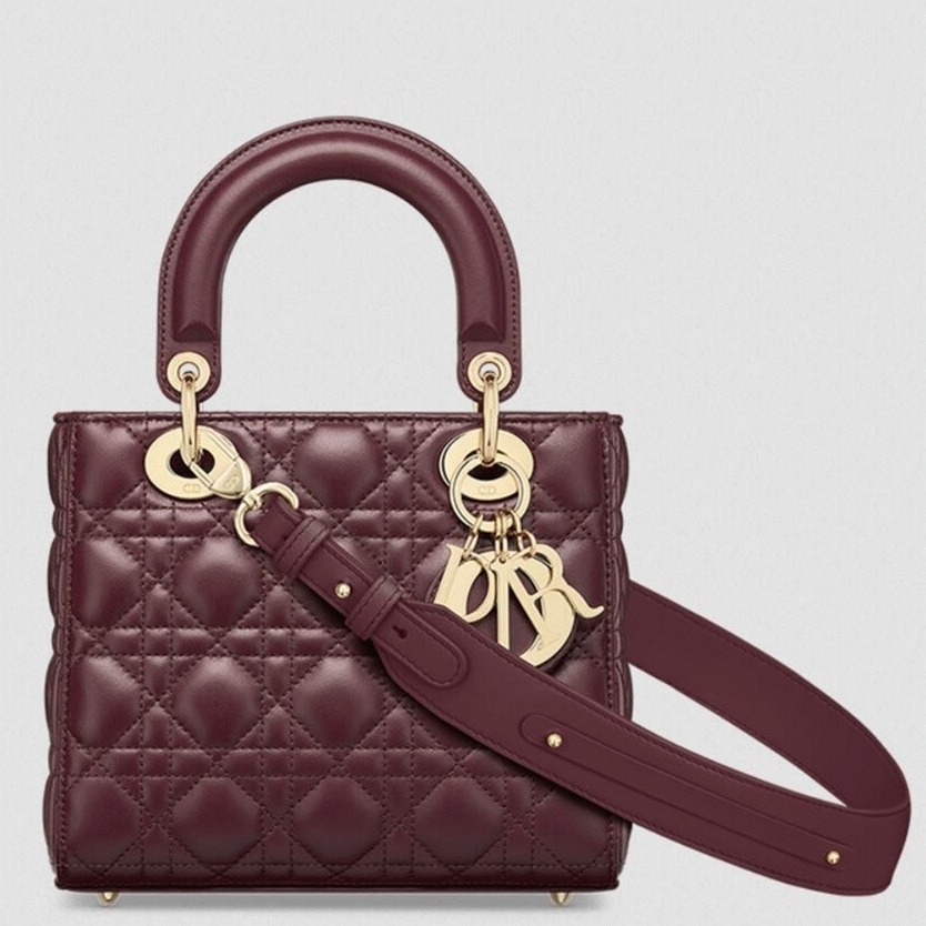 D10r Small Lady D10r My ABCD10r Bag Fake in Burgundy