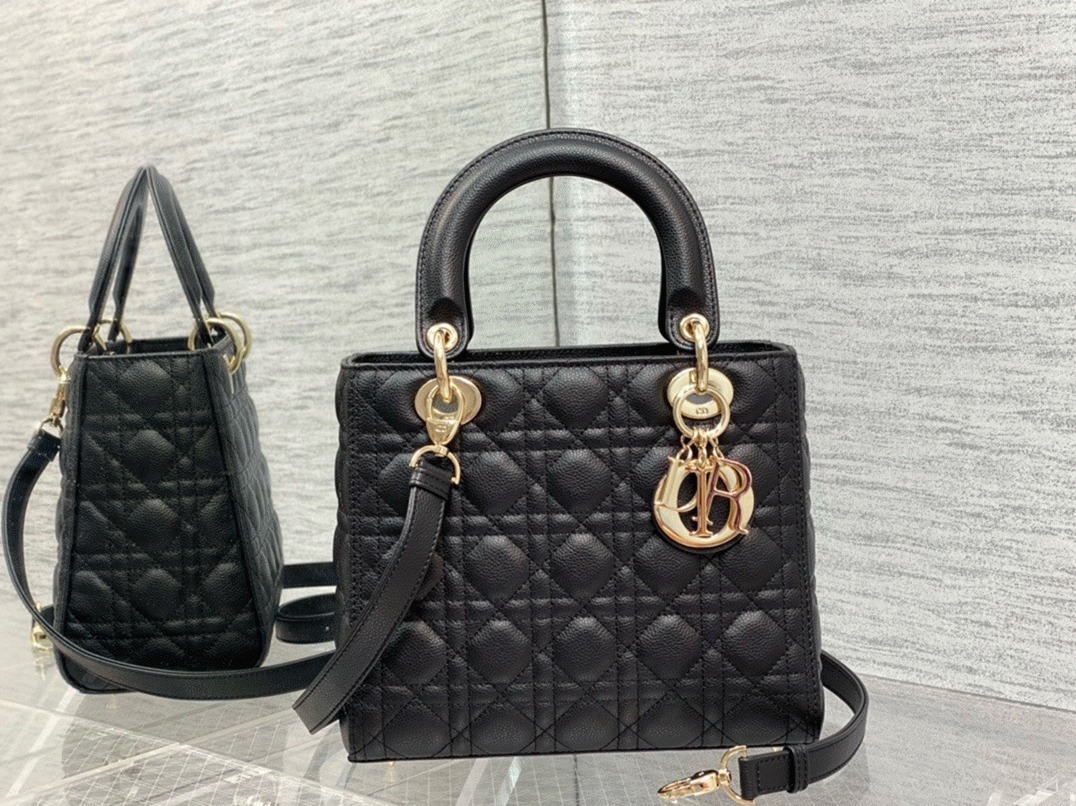 D10r Small Lady D10r Bag Replica in Black
