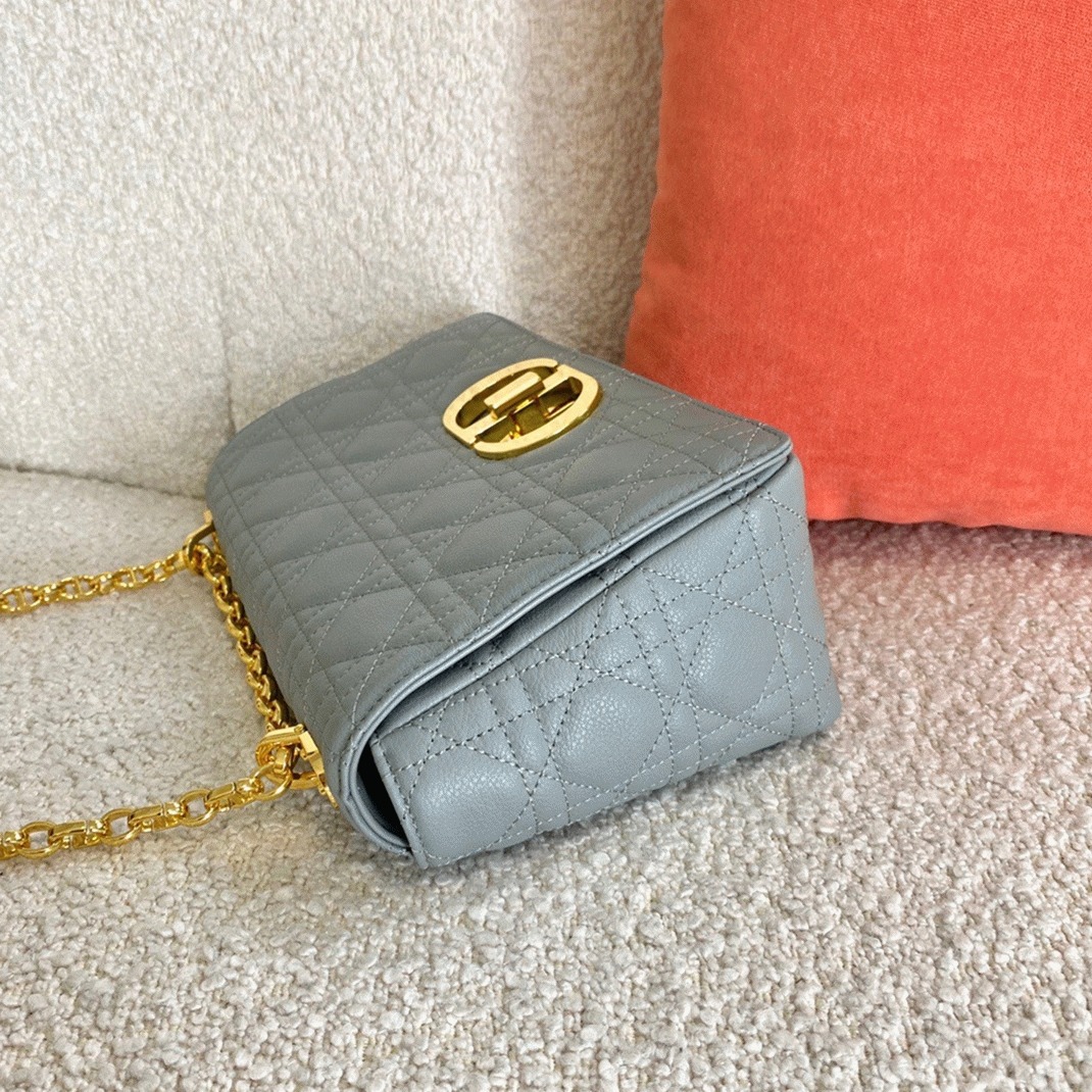 D10r Caro Medium Bag Knockoff in Grey
