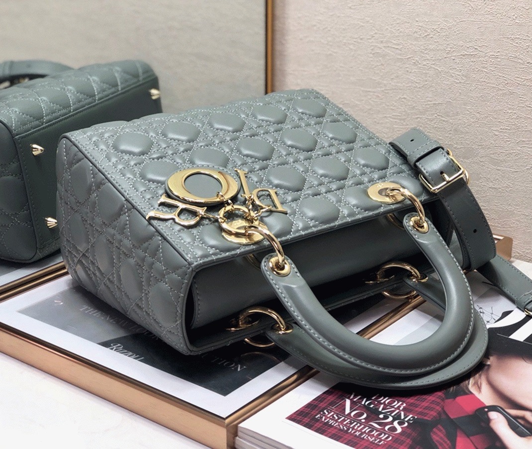 D10r Lady D10r Medium Bag Replica in Grey