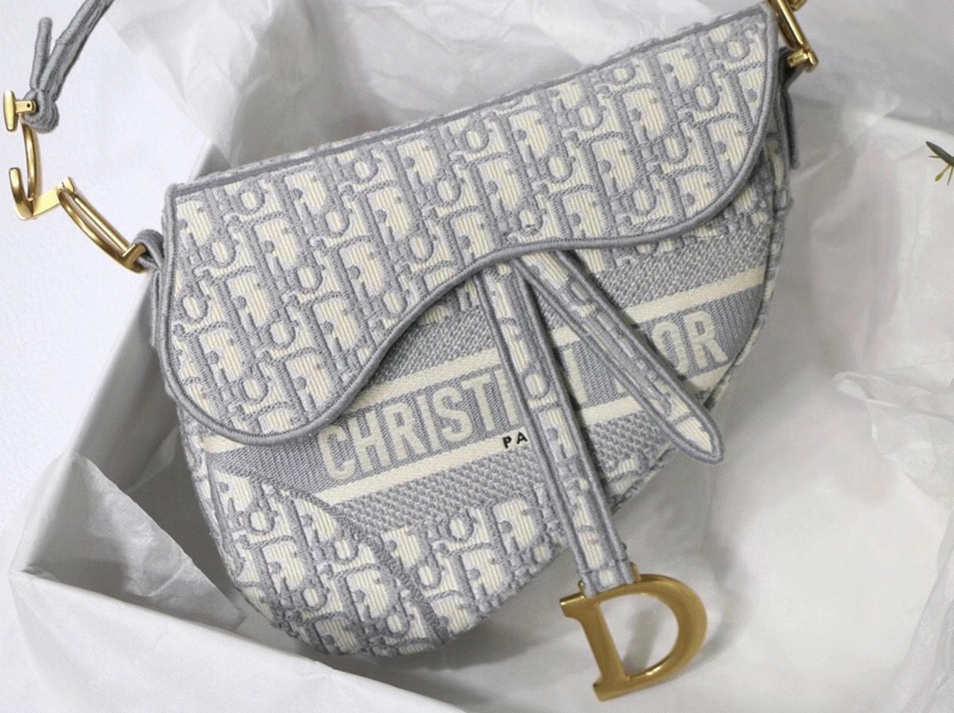 D10r Saddle Bag Knockoff in Grey D10r Oblique Embroidery