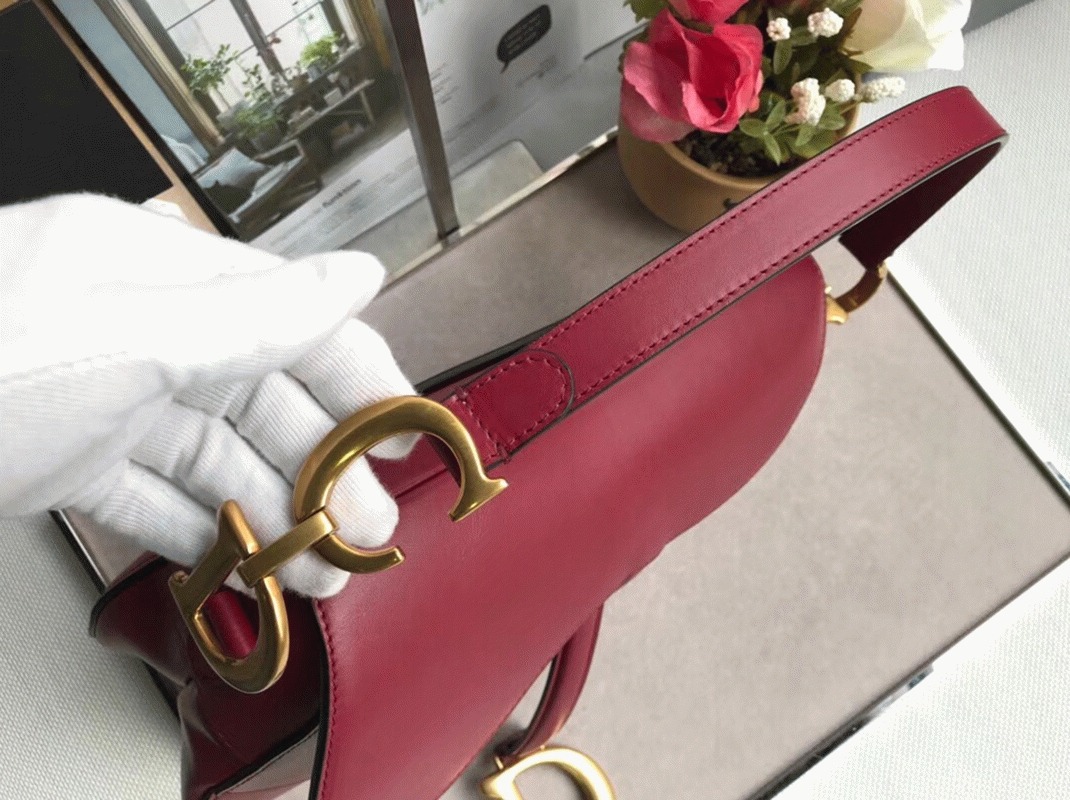 D10r Saddle Bag Replica in Red Smooth Calfskin