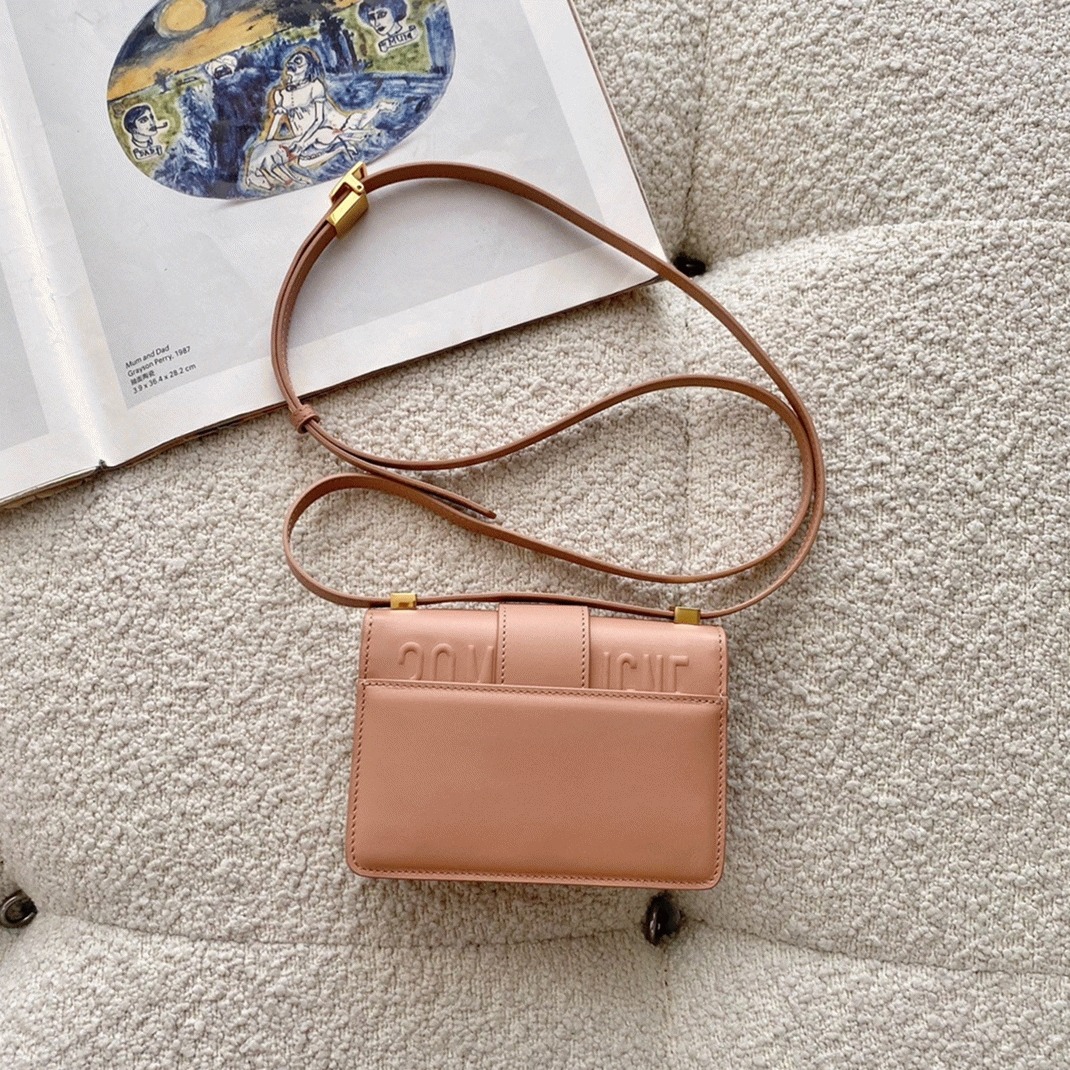 D10r 30 Montaigne Micro Bag Replica in Poudre Box Calfskin