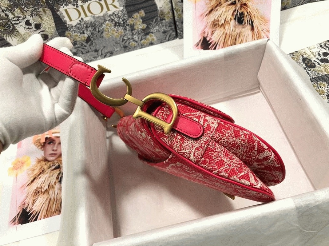 D10r Saddle Bag Imitation in Red Toile de Jouy Reverse Jacquard