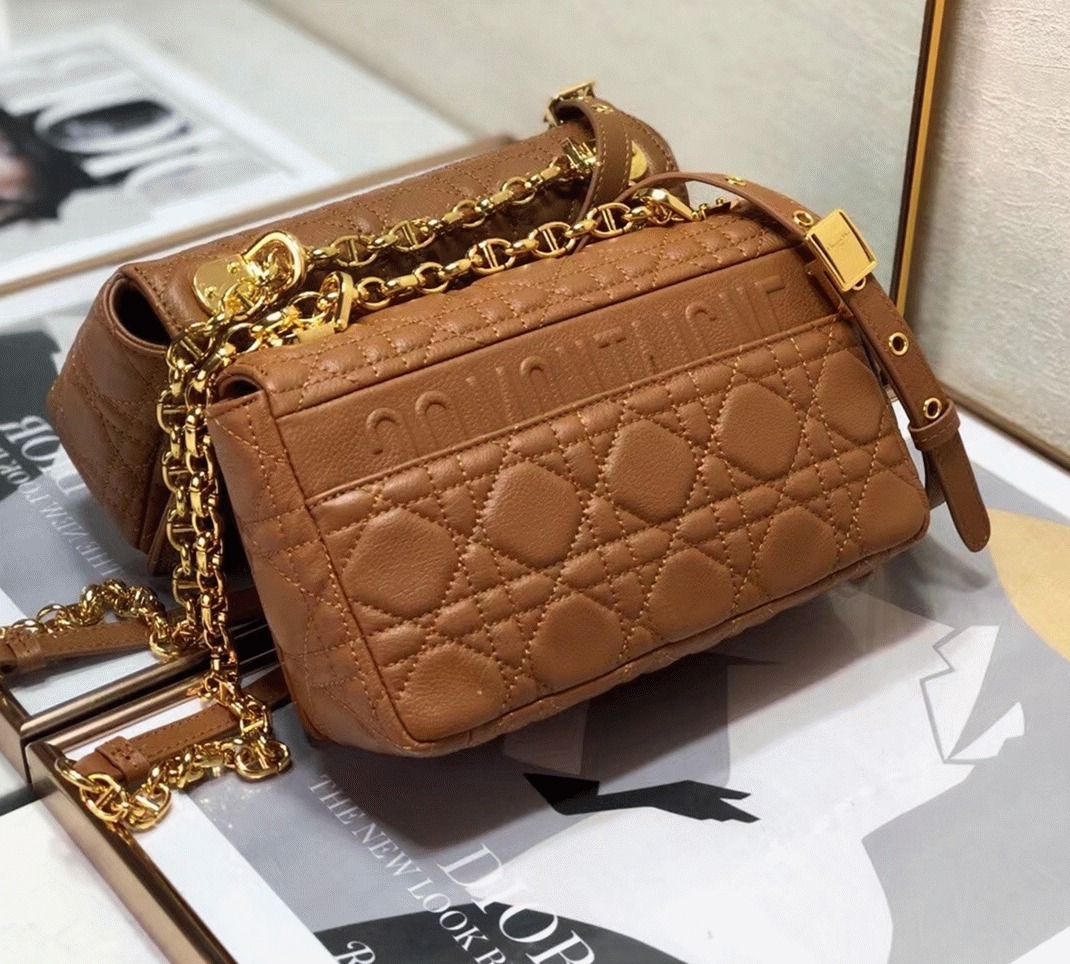 D10r Caro Small Bag Knockoff in Brown