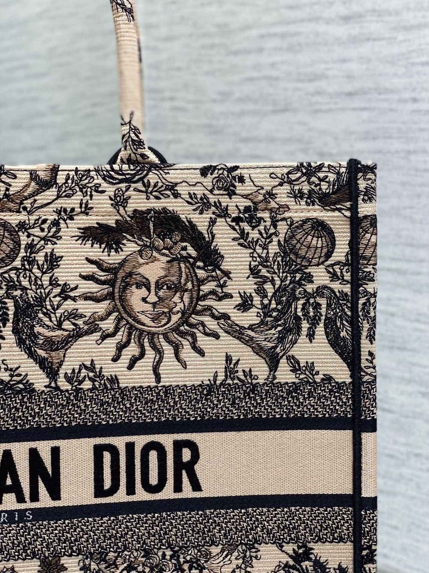D10r Large Book Tote Bag Replica in Beige Toile de Jouy Soleil Embroidery