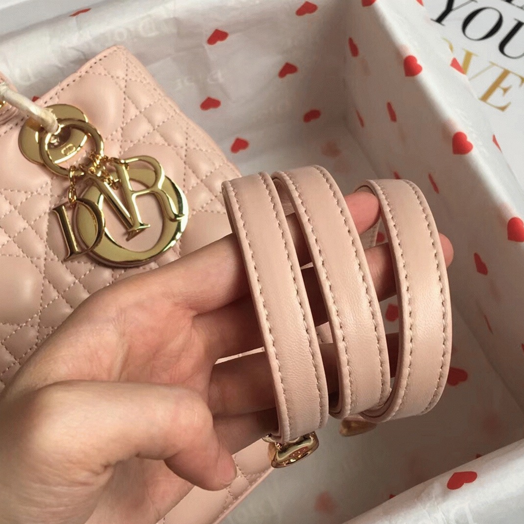 D10r Lady D10r Medium Bag Replica in Powder