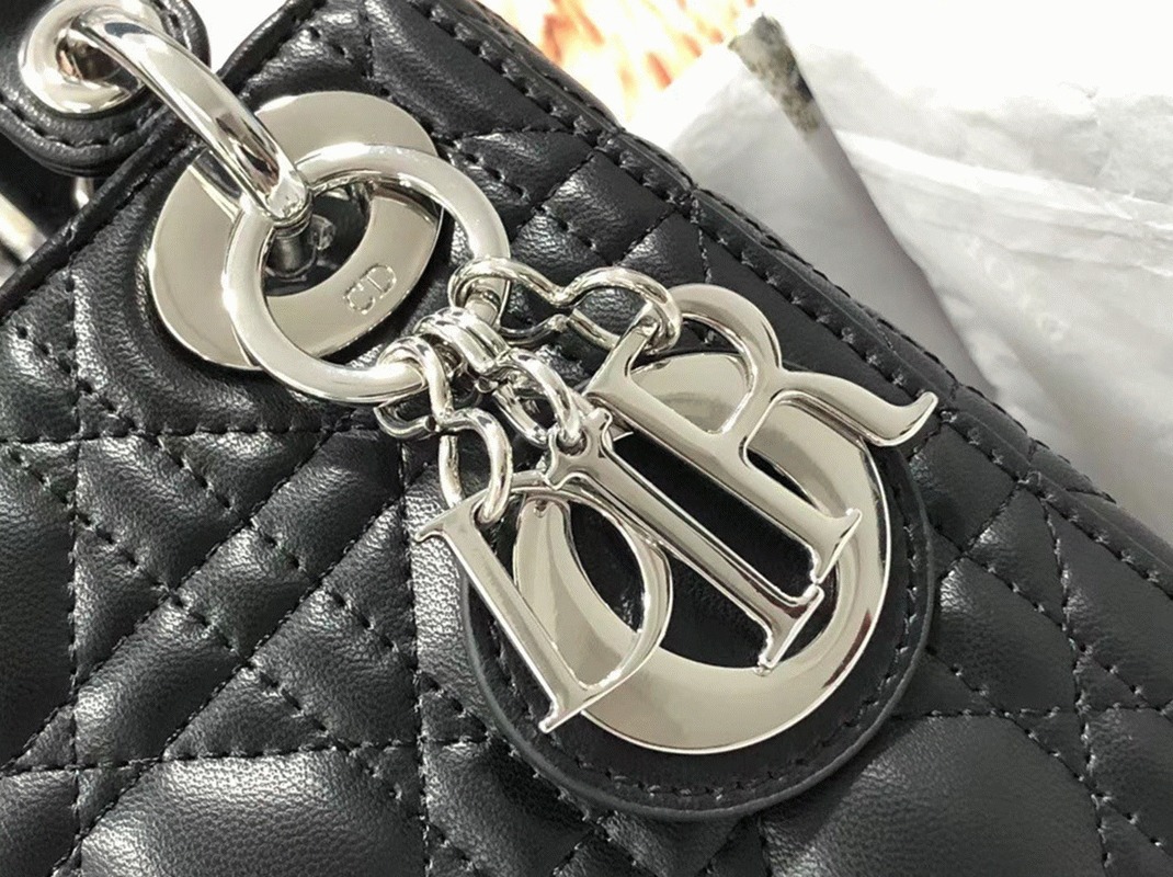 D10r Lady D10r Mini Bag Fake in Noir