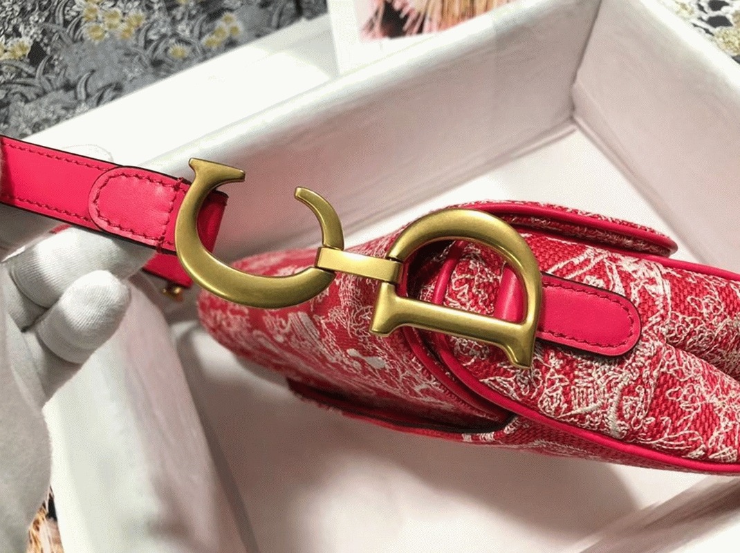 D10r Saddle Bag Imitation in Red Toile de Jouy Reverse Jacquard