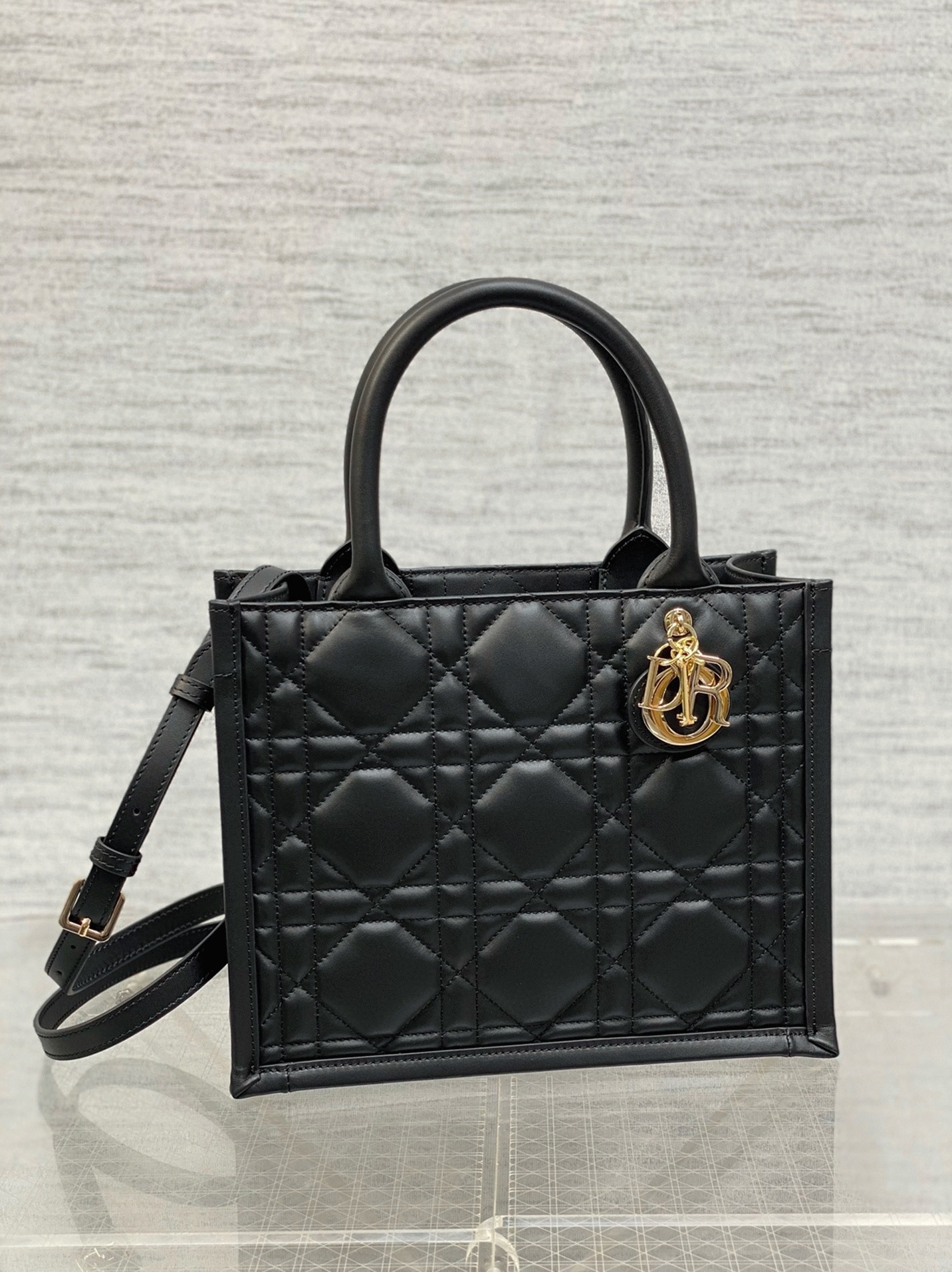 D10r Small Book Tote Bag Fake with Strap in Black