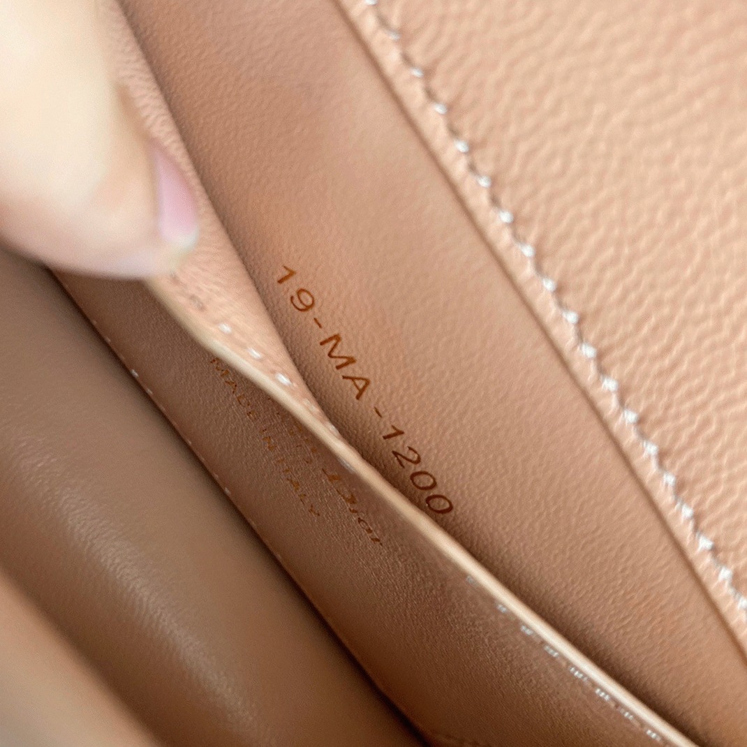 D10r 30 Montaigne Micro Bag Replica in Poudre Box Calfskin