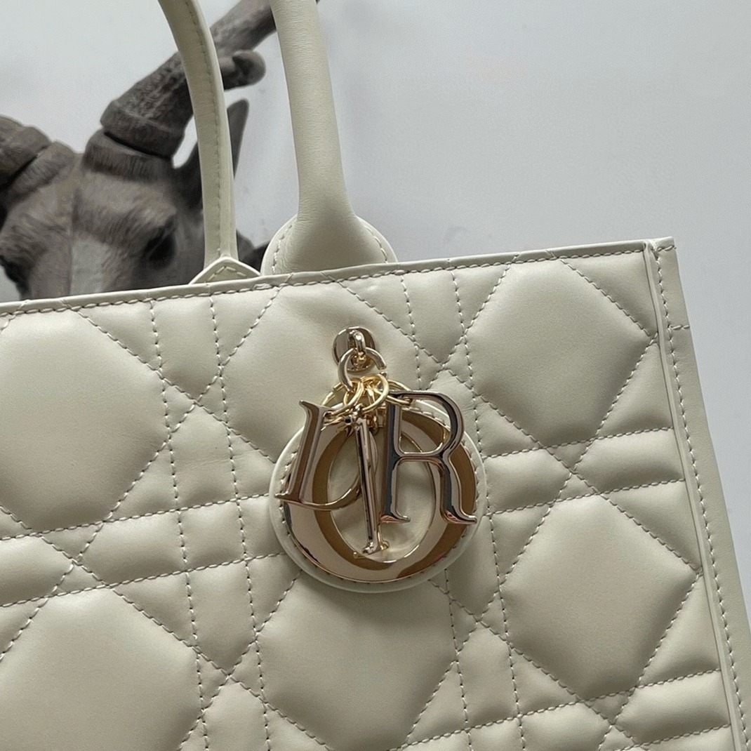 D10r Medium Book Tote Bag Knockoff with Strap in White