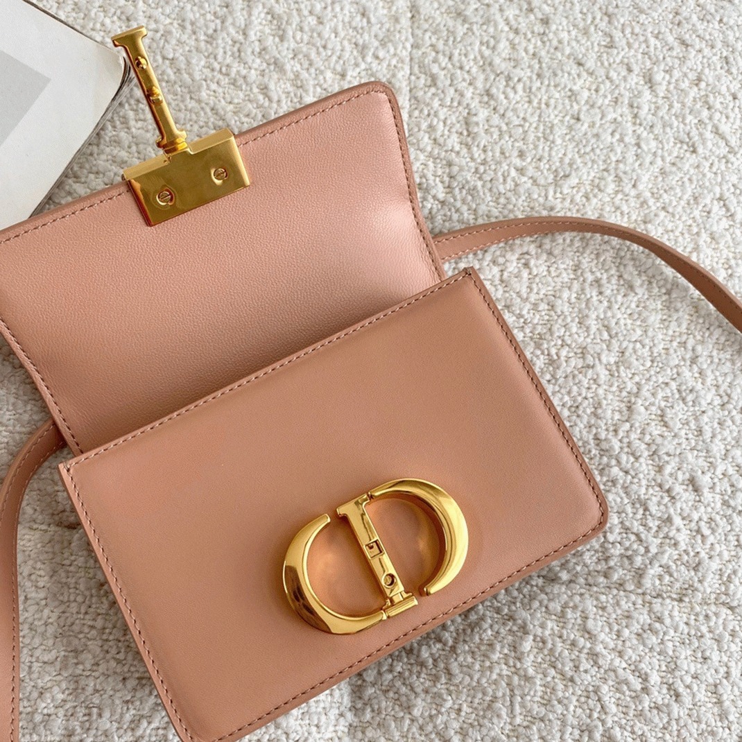 D10r 30 Montaigne Micro Bag Replica in Poudre Box Calfskin