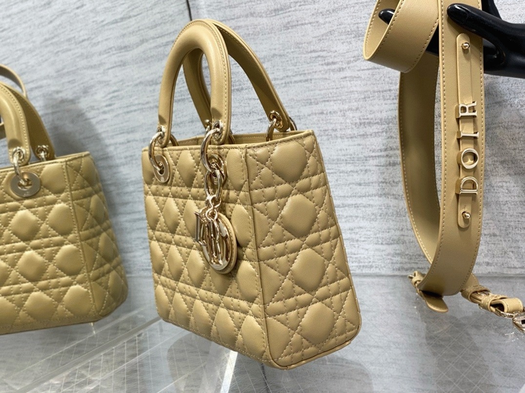 D10r Small Lady D10r My ABCD10r Bag Fake in Pastel Yellow
