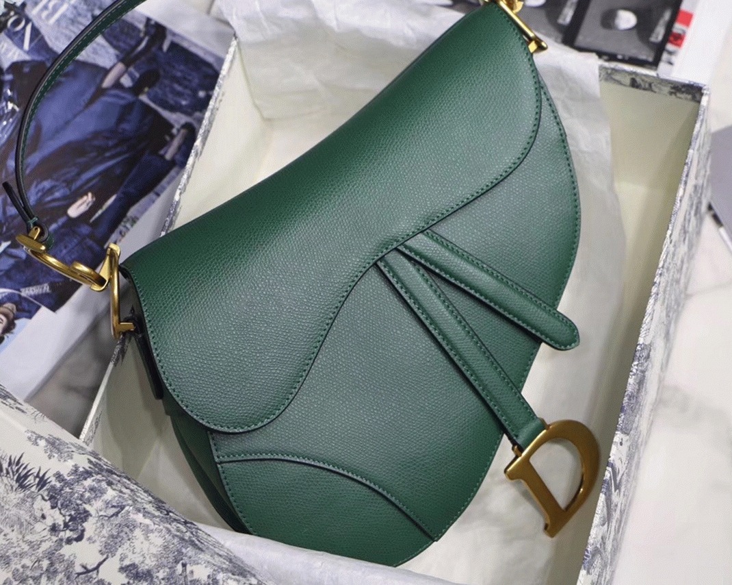 D10r Saddle Bag Faux in Green Grained Calfskin