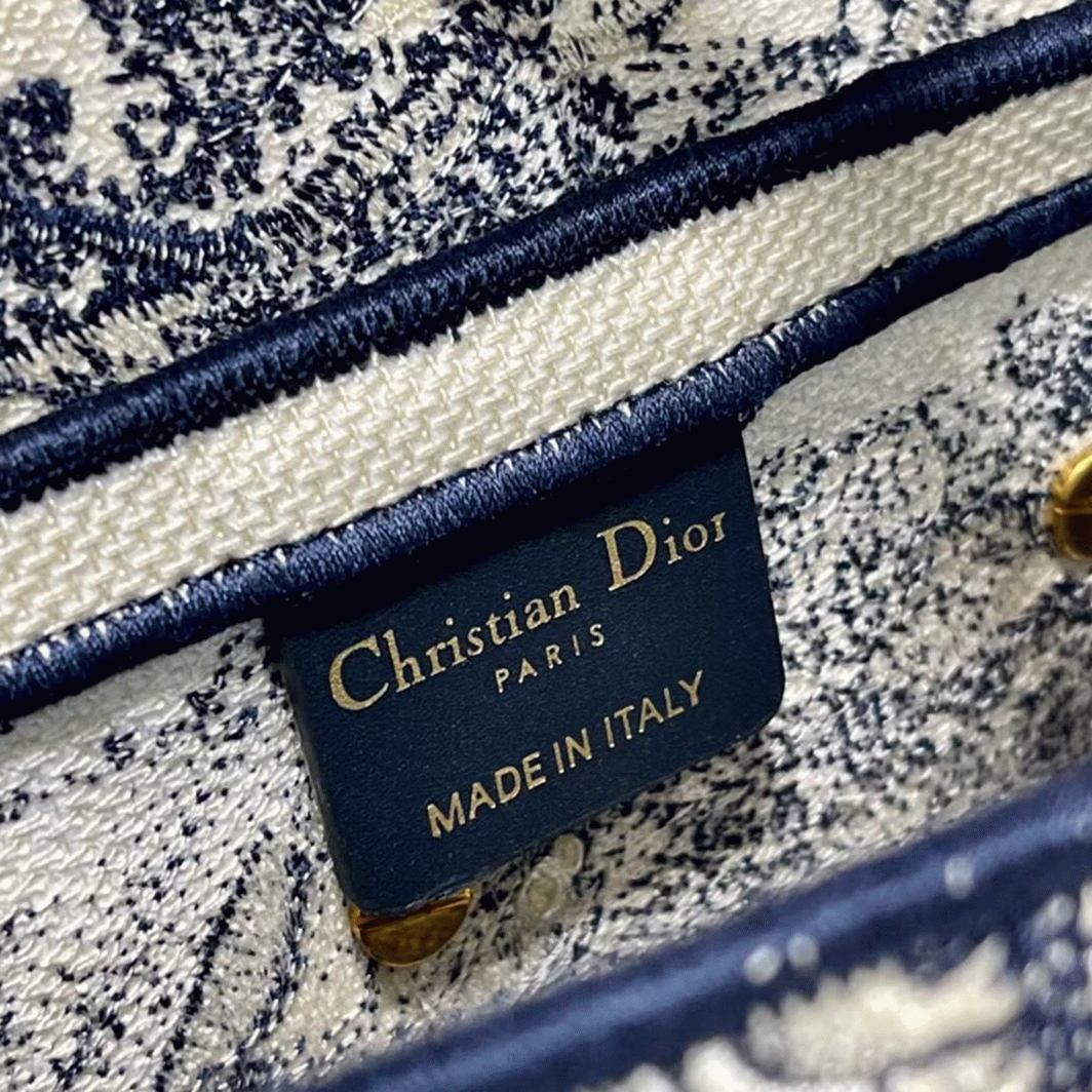 D10r Saddle Bag Replica in Blue Toile de Jouy Embroidery
