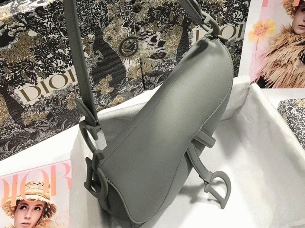 D10r Saddle Bag Faux in Grey Ultramatte Calfskin