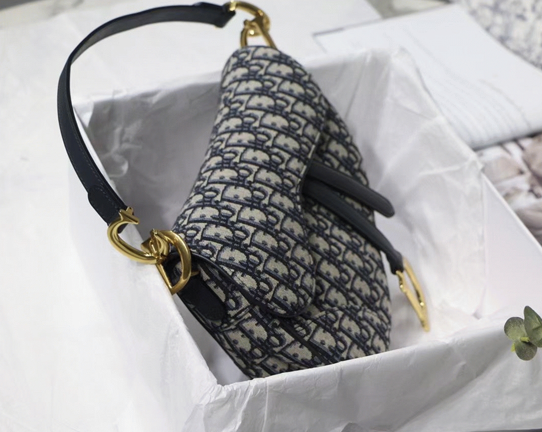 D10r Saddle Bag Knockoff in Blue D10r Oblique Jacquard