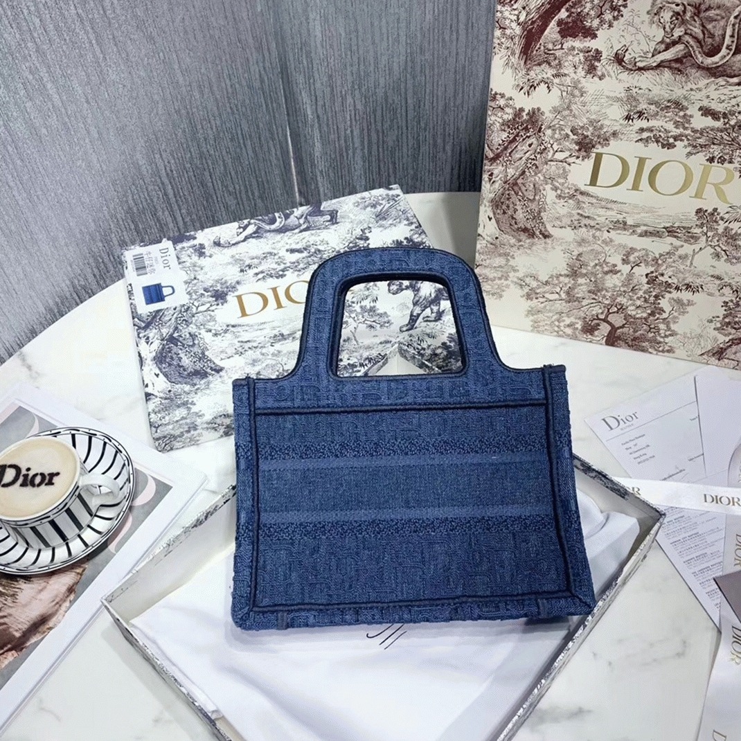 D10r Mini Book Tote Bag Fake in Denim Blue Oblique