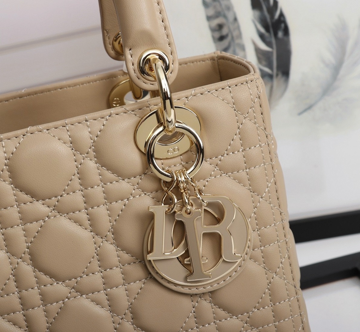 D10r Lady D10r Medium Bag Knockoff in Beige