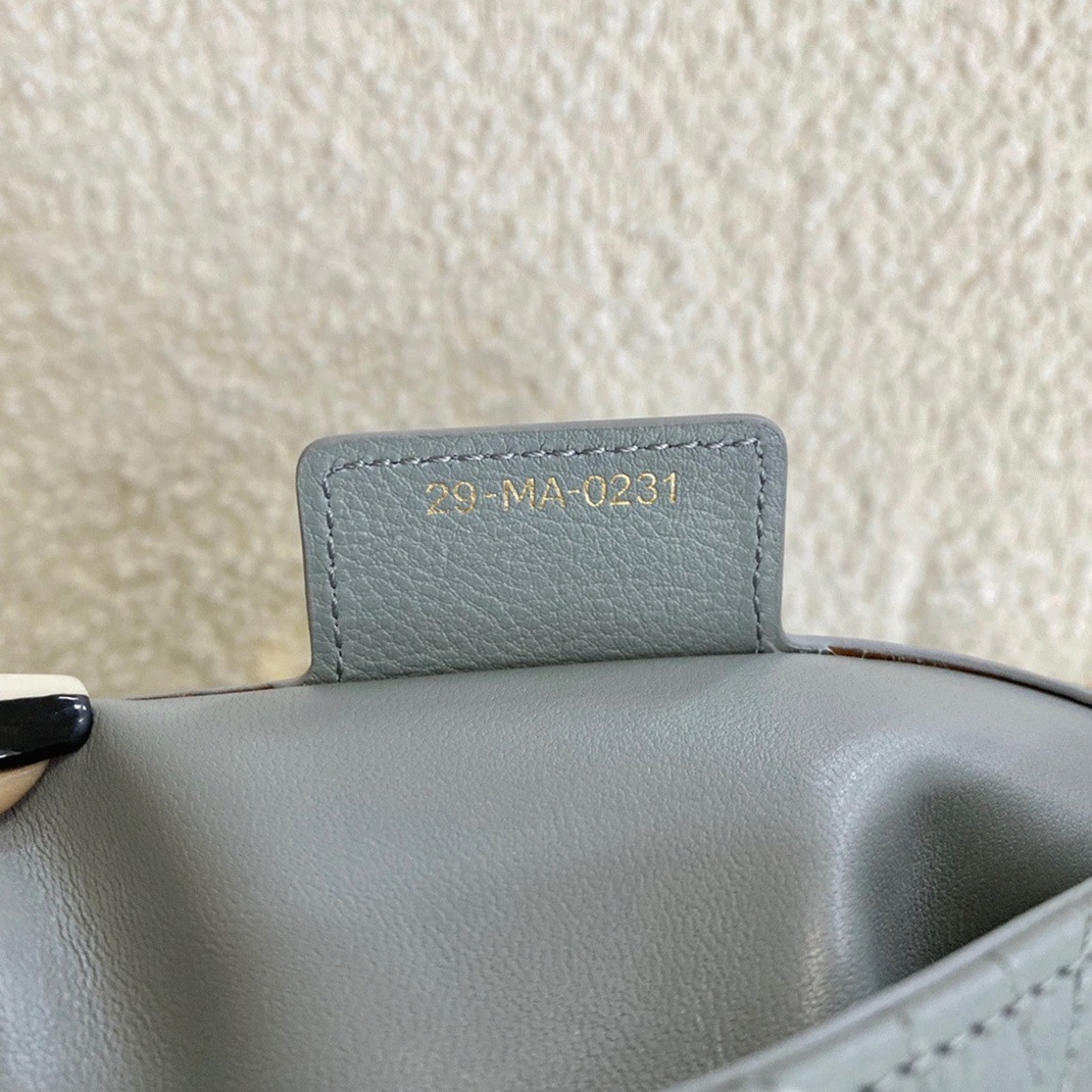 D10r Caro Medium Bag Knockoff in Grey
