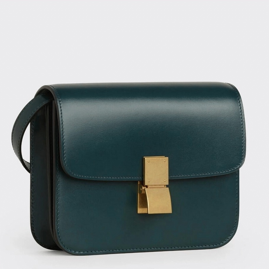 Top Quality Fake Ce1i*e Classic Box Teen Bag In Amazone