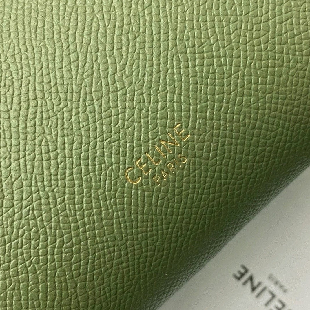 Ce1i*e Belt Nano Bag Knockoff in Light Khaki