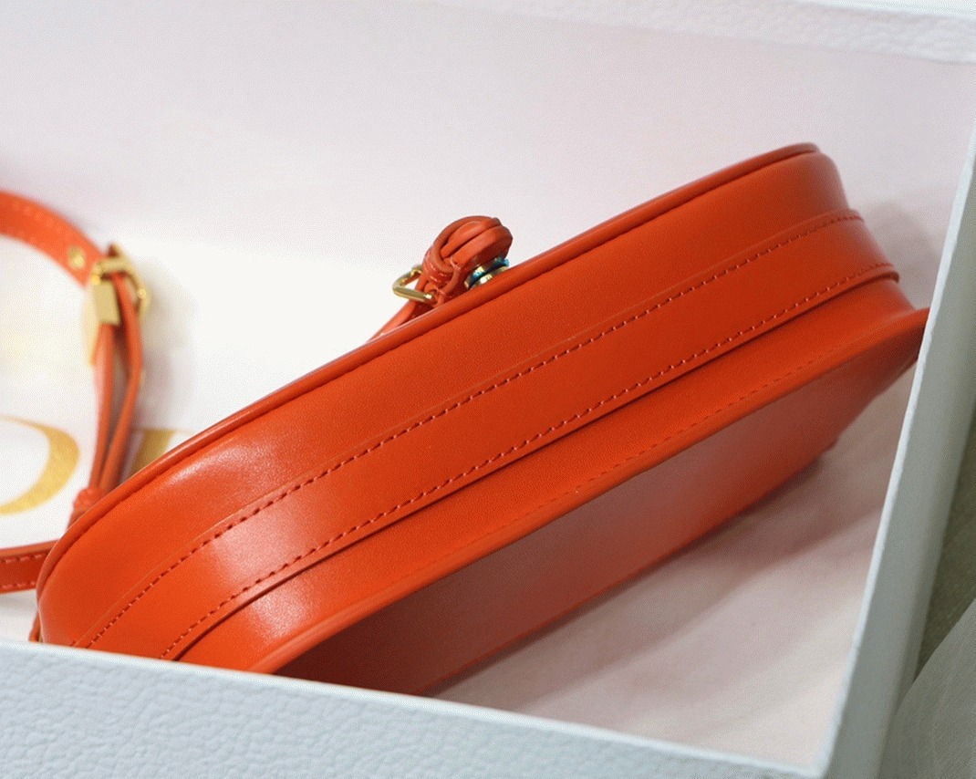 D10r Bobby East-West Bag Replica in Orange