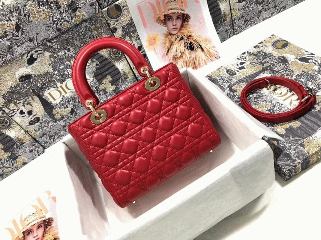 D10r Lady D10r Medium Bag Faux in Red